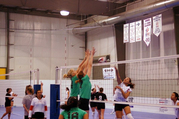 20070120_Wasabi_PO1-0157.JPG