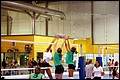 20070120_Wasabi_PO1-0108.JPG