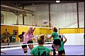 20070120_Wasabi_PO3-0288.JPG