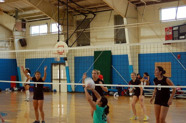 20071208_Wasabi_2407.JPG