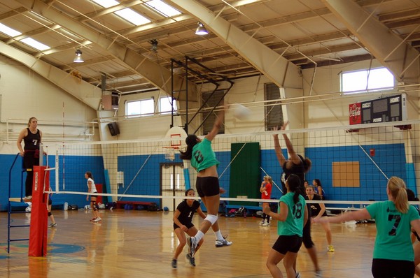 20071208_Wasabi_2422.JPG