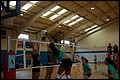 20071208_Wasabi_2363.JPG