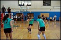 20071208_Wasabi_2557.JPG