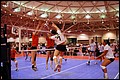 20090525_2009_Nationals_7398.jpg