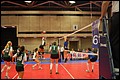 20110603-1854_Wasabi_Nationals_Gold_2480.JPG