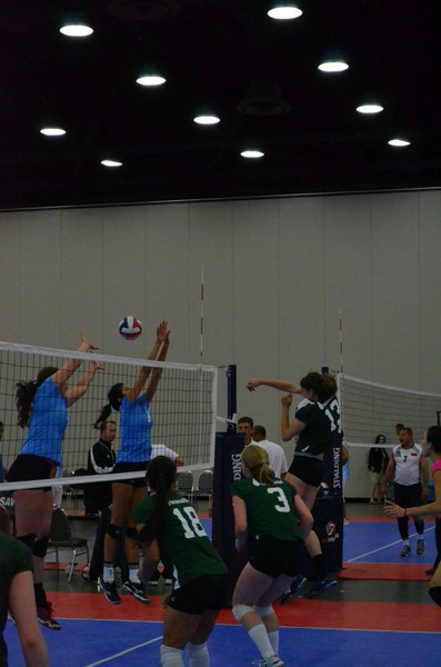 20130527-065644_Wasabi-Match_5-0106.jpg